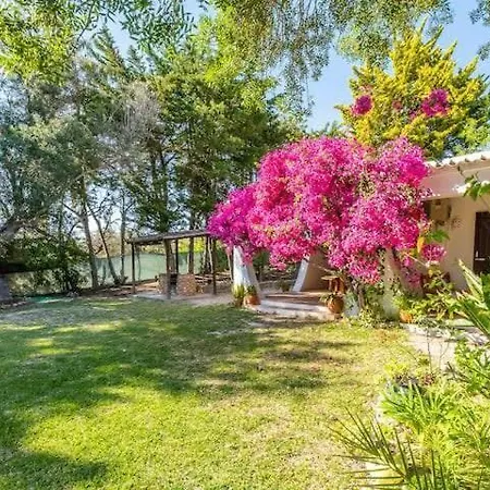 Flores - Close To The Amendoeira Golf * 培拉