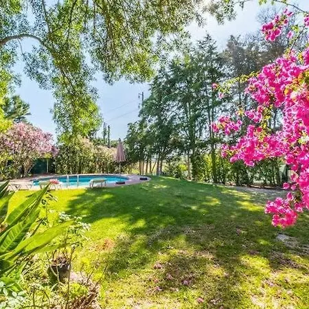 Flores - Close To The Amendoeira Golf