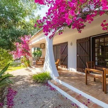 Flores - Close To The Amendoeira Golf 培拉